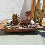 Vakantiehuis Yalos House